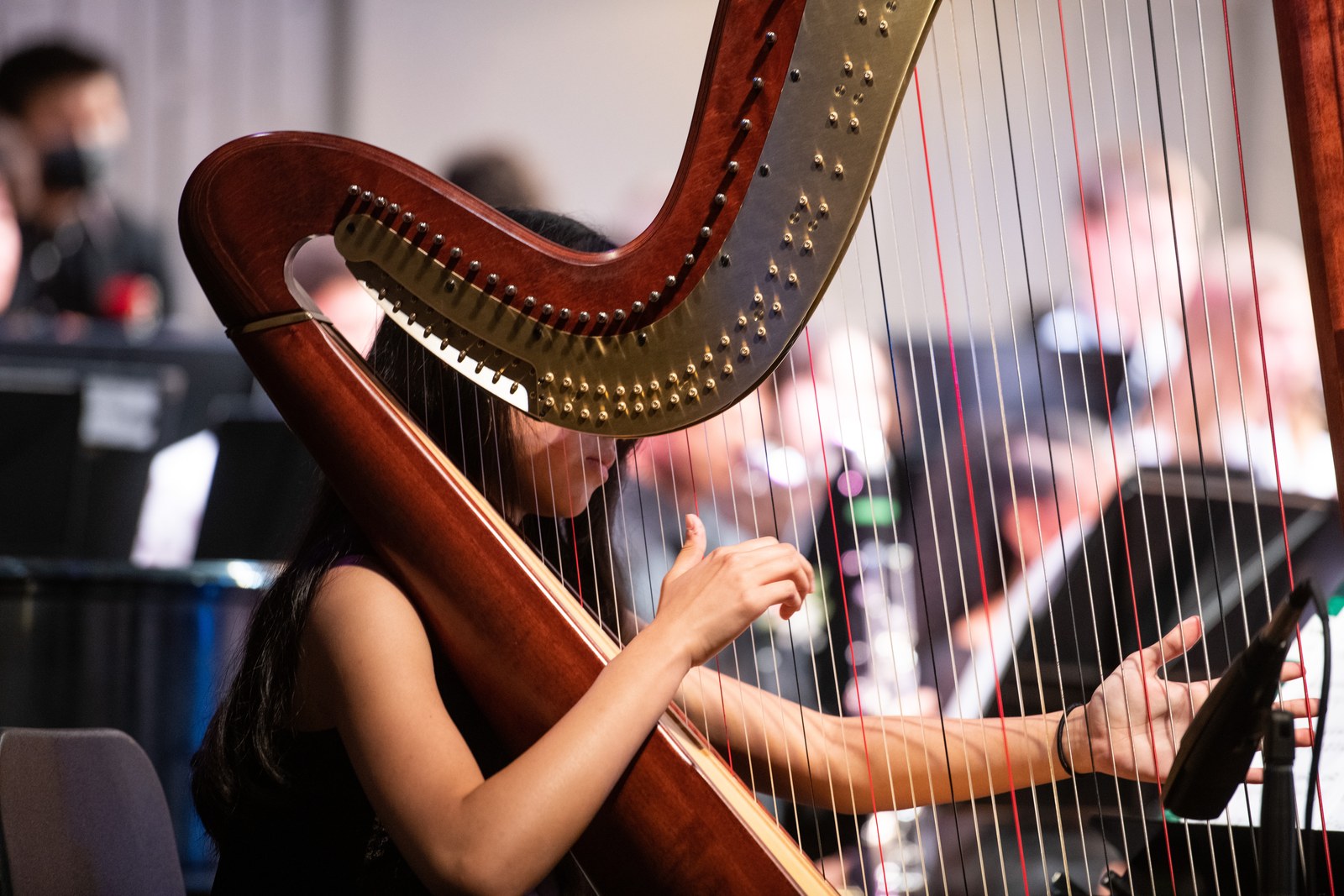 Chloe performing harp with orchestra